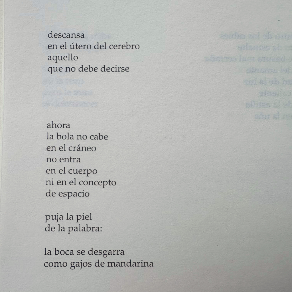 SUBLINGUAL No Abandonas La Escritura 5 1024x1024